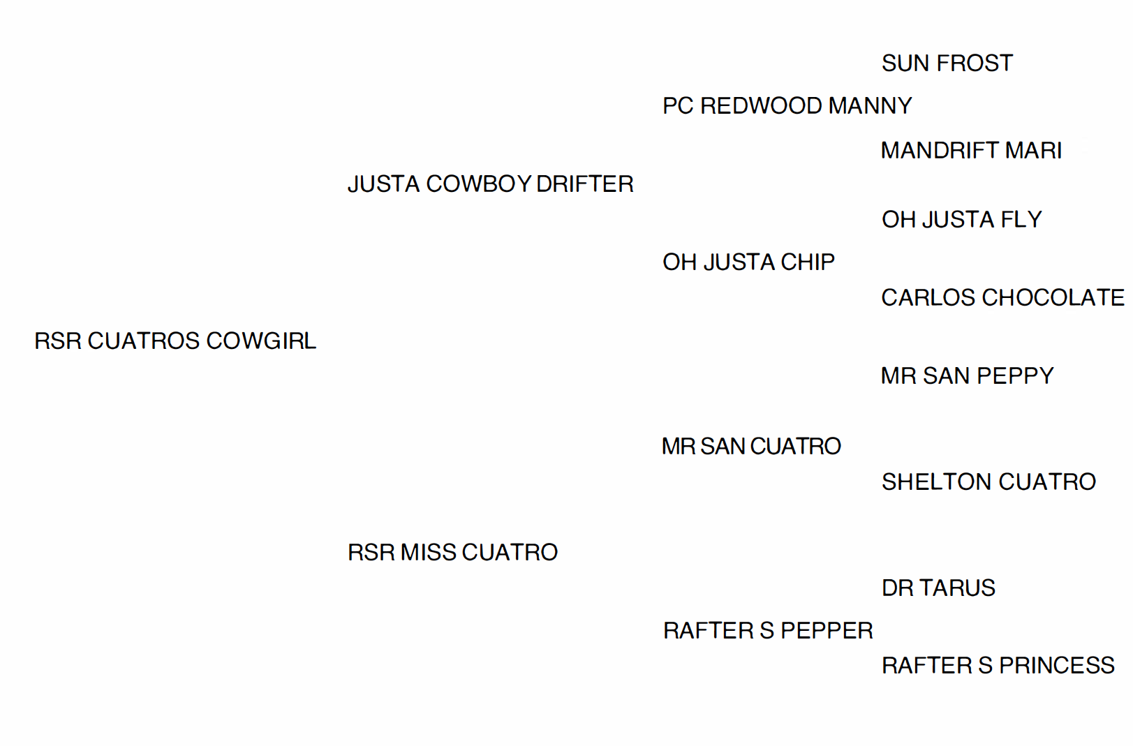 RSR Cuatros Cowgirl Pedigree