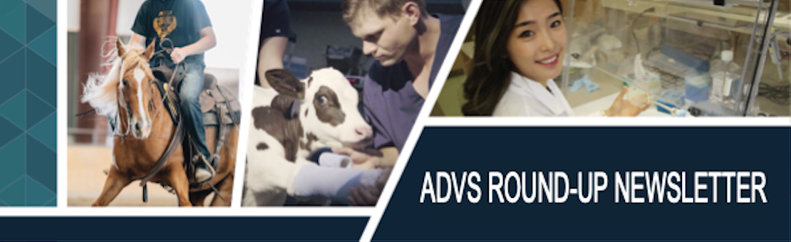 ADVS Round-Up E-Letter