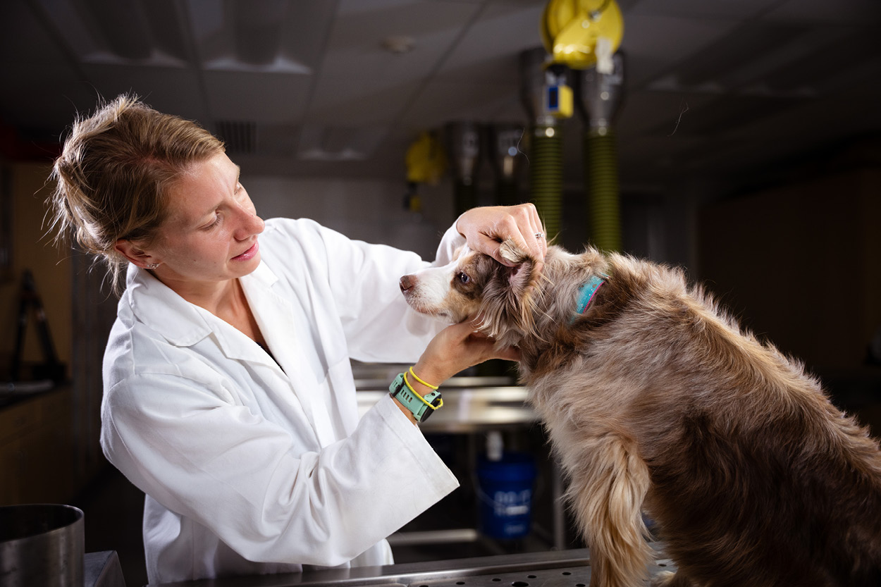 woman examines dog
