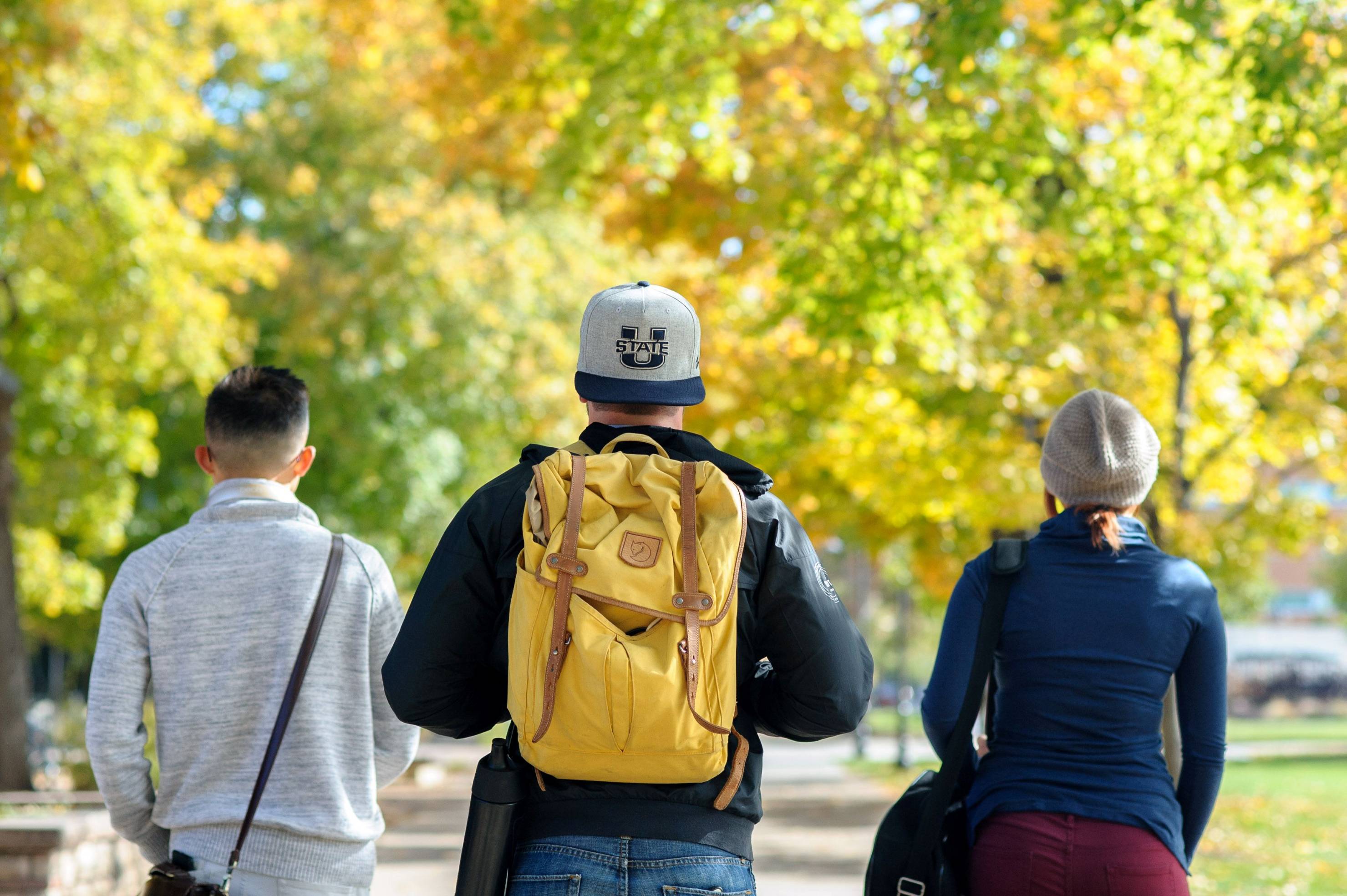 Three students walking on campus, facing away from campus