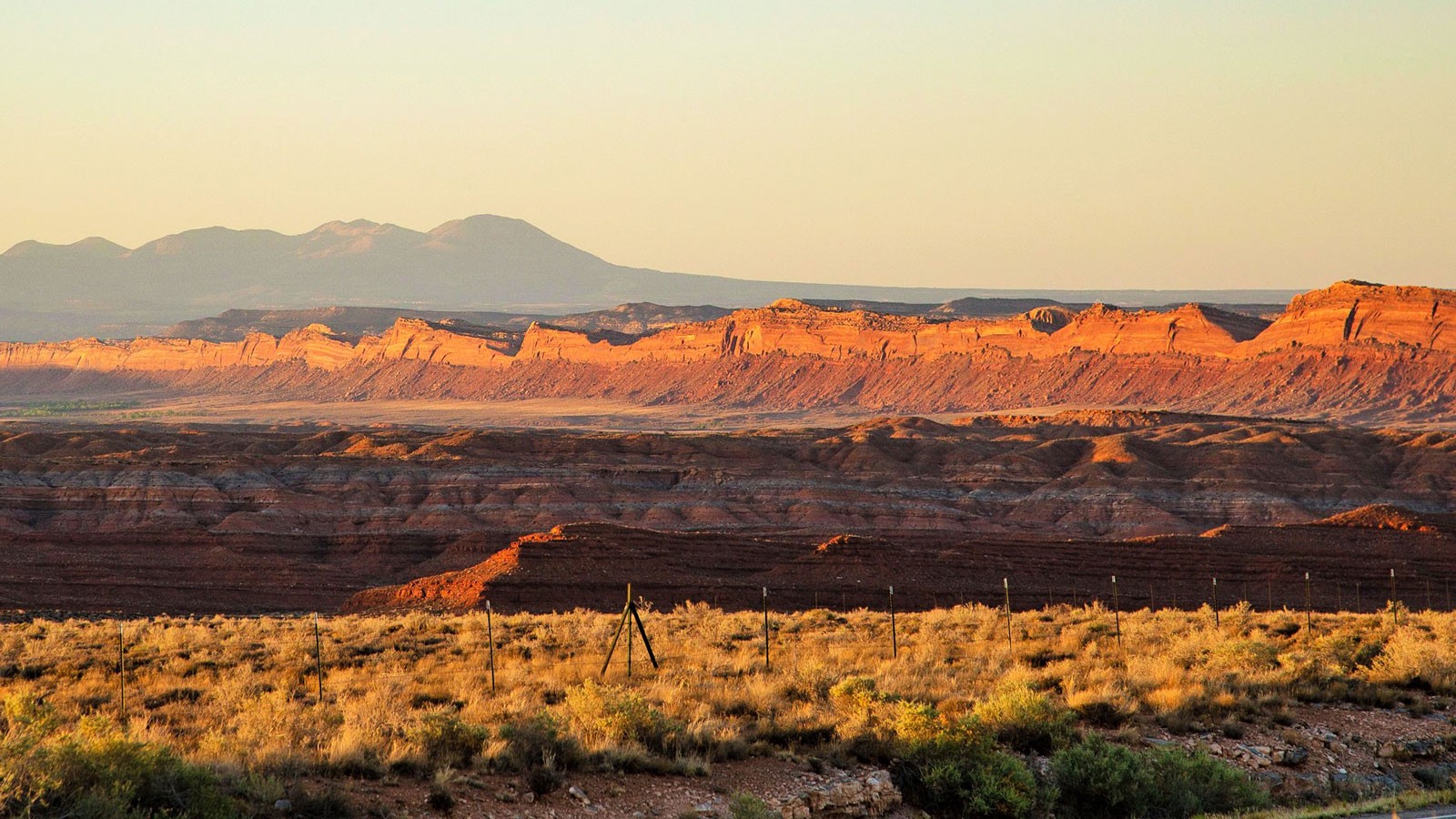 USU Anthropology Student, Vet Med Faculty Identify Object in Centuries-Old Indigenous Pouch