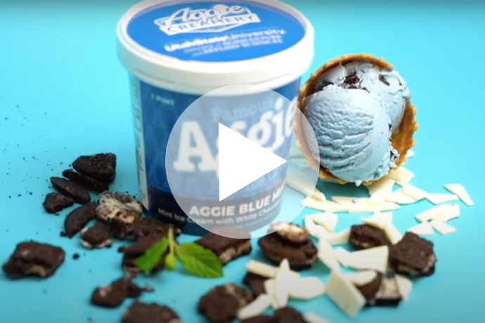 Aggie Ice Cream: Pints