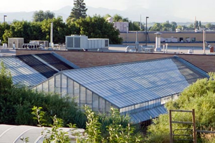 Bee Biology and Systematics Lab