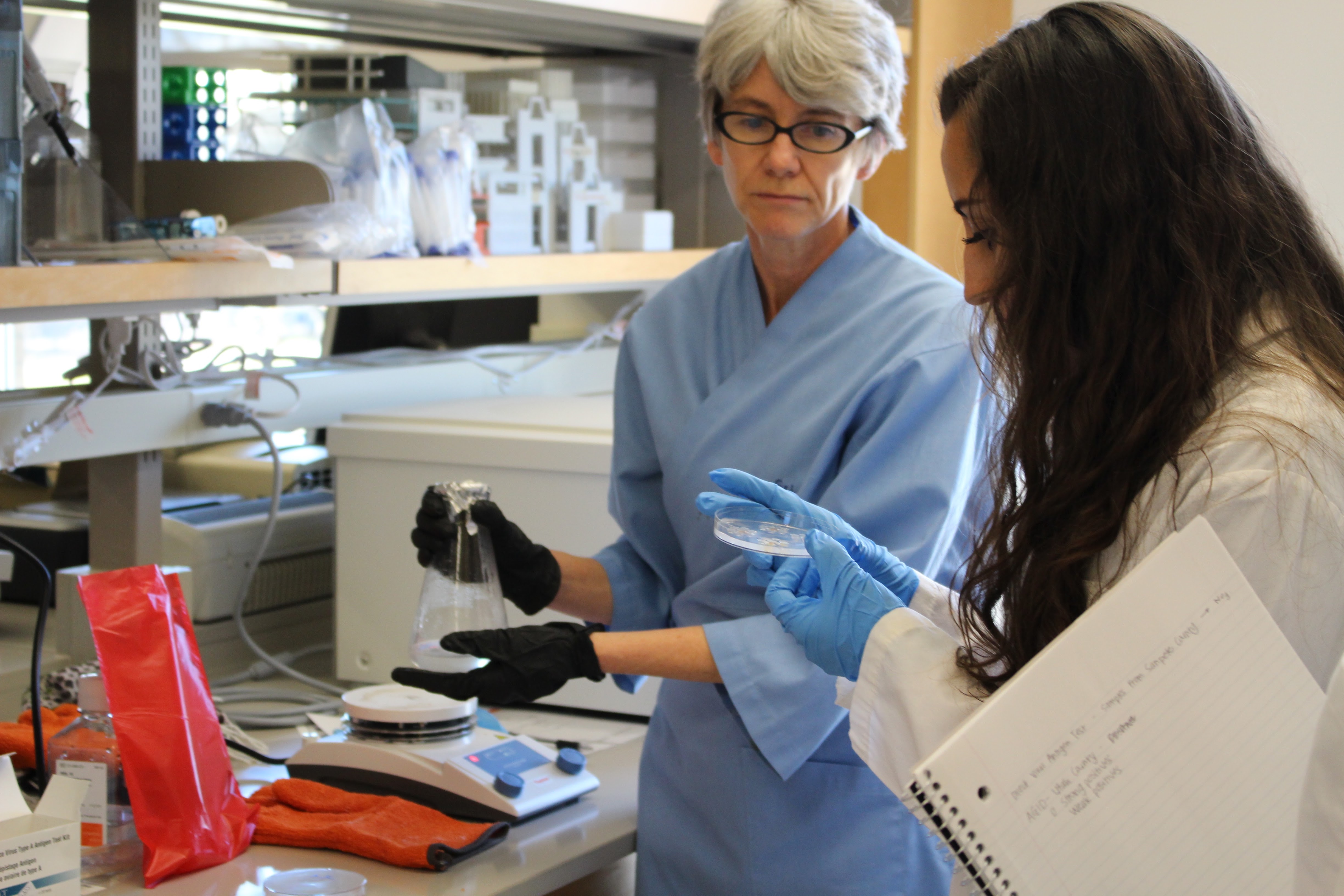 Utah State University Veterinarians Honored by Utah Veterinary Medical Association