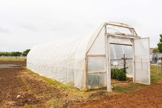The National Center for Agricultural Literacy is Creating a Certificate Program for Teachers