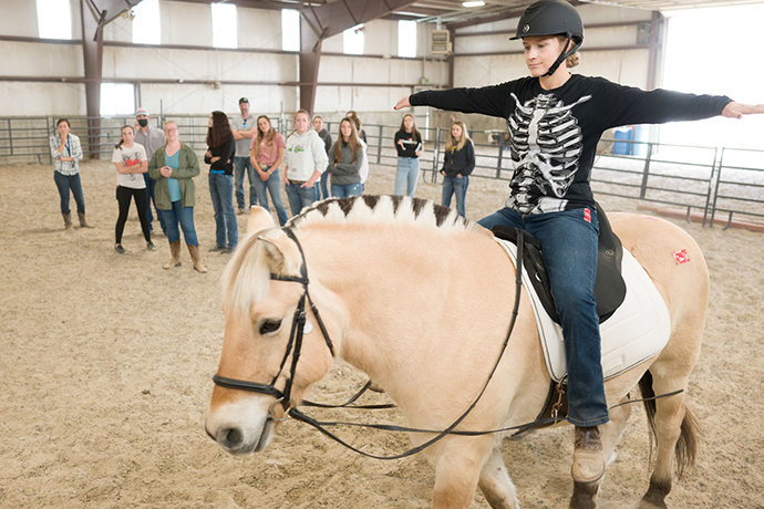 What Animals Can Teach Us