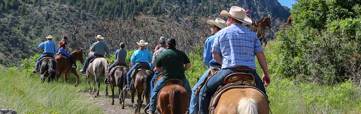 Veterans riding horses on a trail