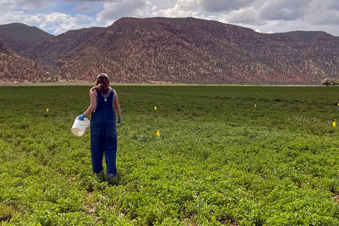 Down to Earth: Research Encourages Savvy Interpretation of Fertilizer Recommendations