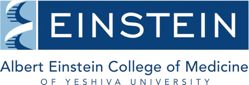 eistein