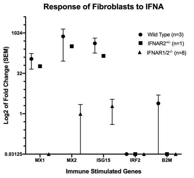 fibroblasts figure 1