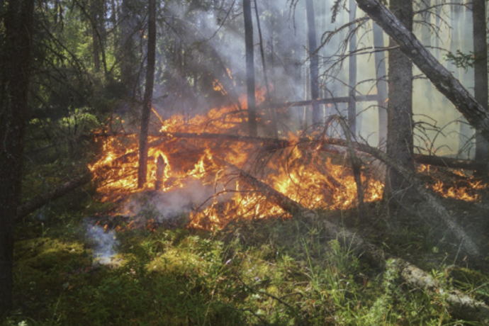 forest fire threat