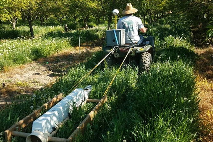 Utah State researchers get close to $2 million to study state’s largest fruit crop