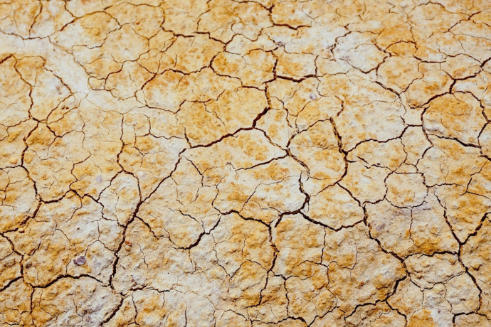 Climate Study Reveals Alarming Trends in Heat Wave Dynamics
