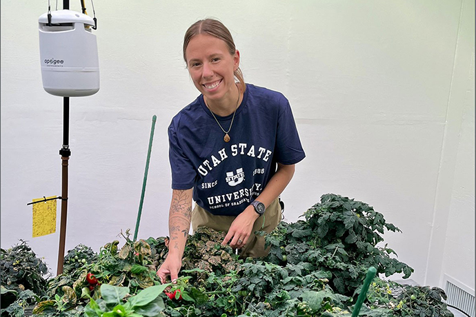 USU Researchers Explore Mini Vegetable Plants for Urban Agriculture