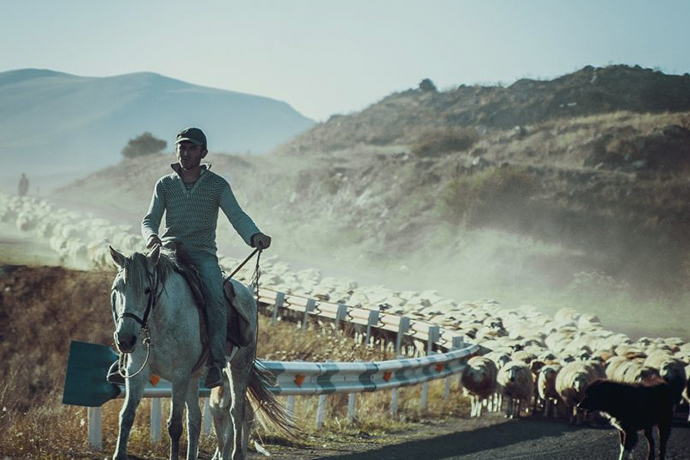 Farmers Feeding Utah identifies Navajo Nation for Miracle Project