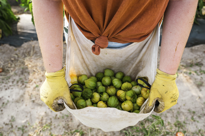 Organic Agriculture (UC)