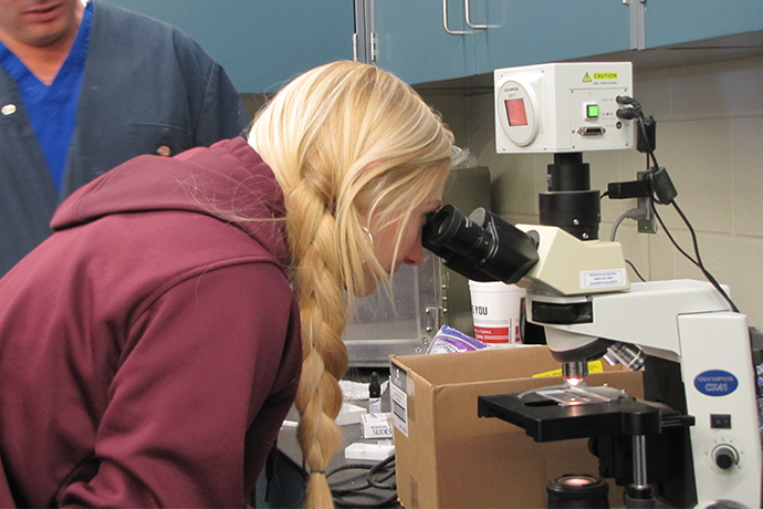 Student with a long blonde braid looking into a microscope in a lab environment.