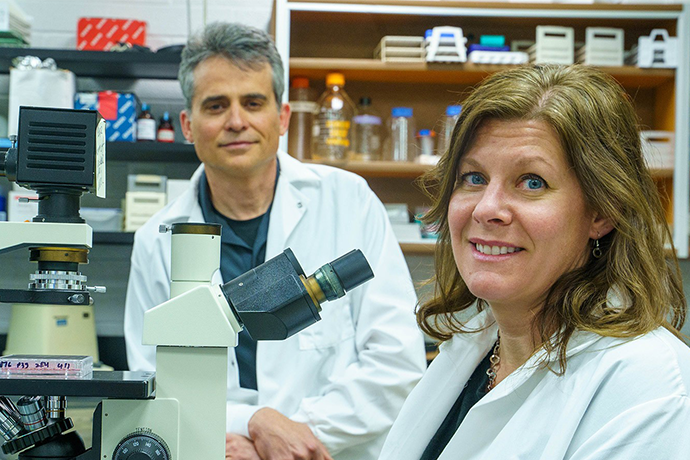Study of Rift Valley Fever Virus Treatment Published by the National Academy of Sciences