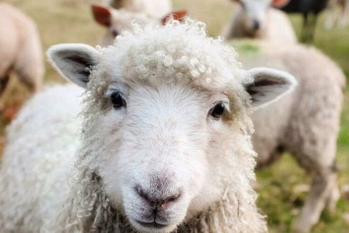 USU President Chairs National Task Force