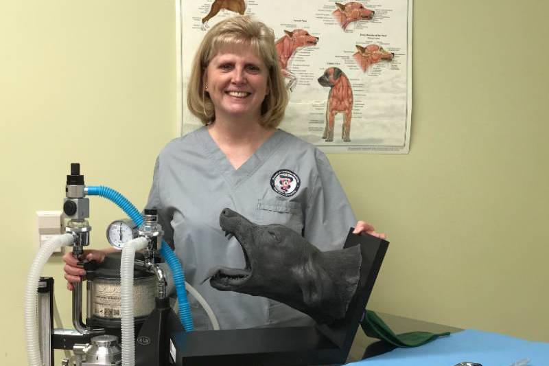 Sutures and Snacks: Meet Melisa Bishop, SVM Program Coordinator