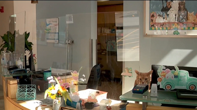 KUTV: Utah State Launches Four-Year Veterinary Medicine Program