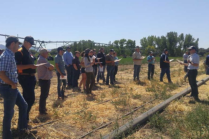 USU Irrigation Study in Cedar City Reducing Water Without Reducing Crops
