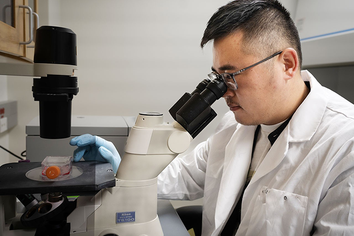 USU Scientists Contribute to Two Important COVID-19 Studies