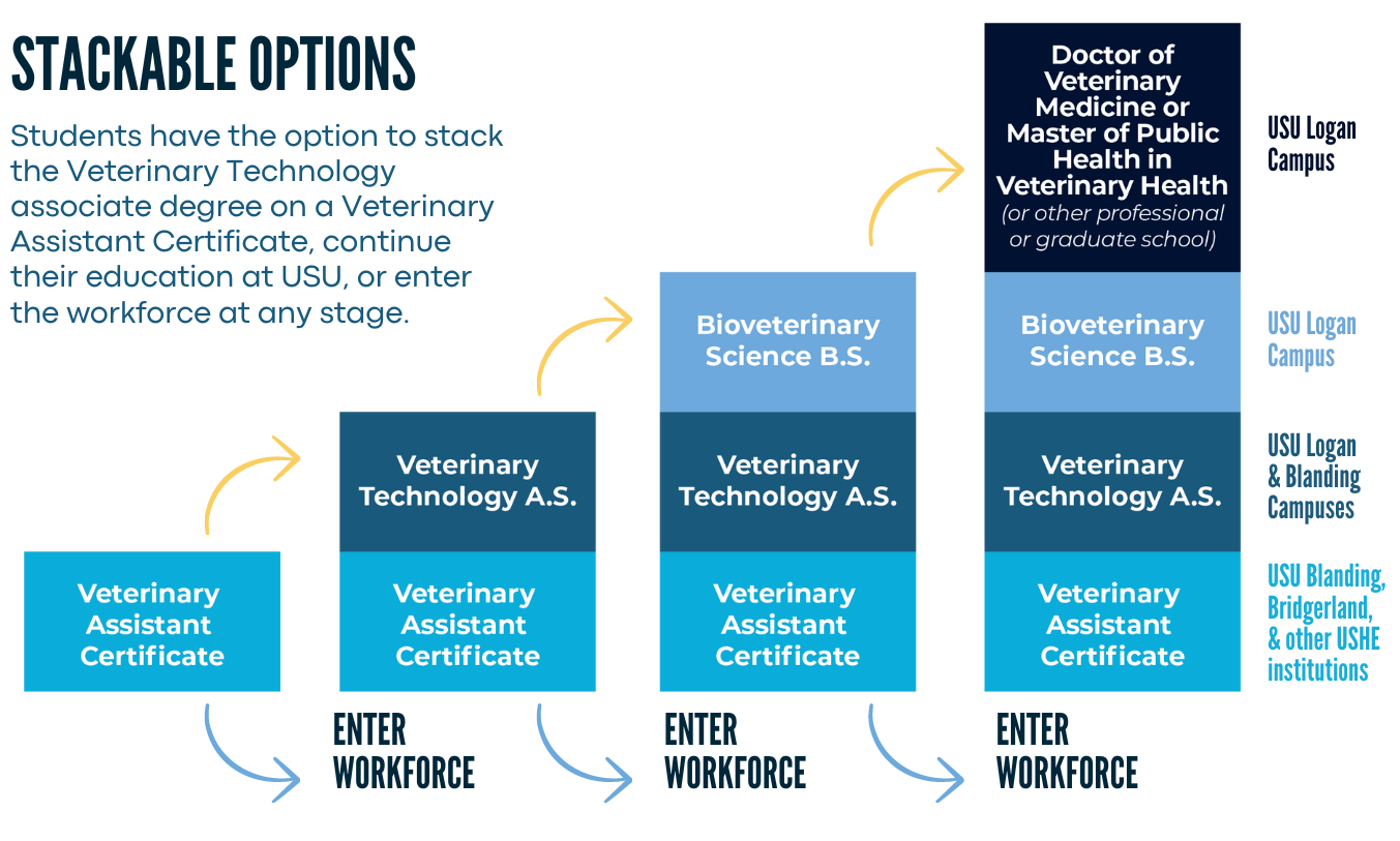 Vet Tech stackable graph