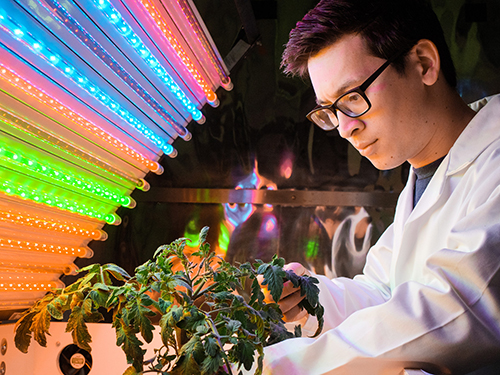 Graduate student researcher