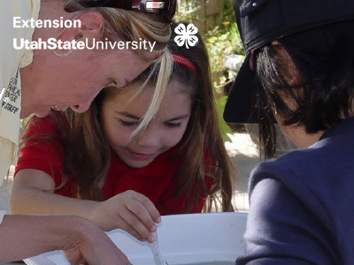 Using Citizen Science