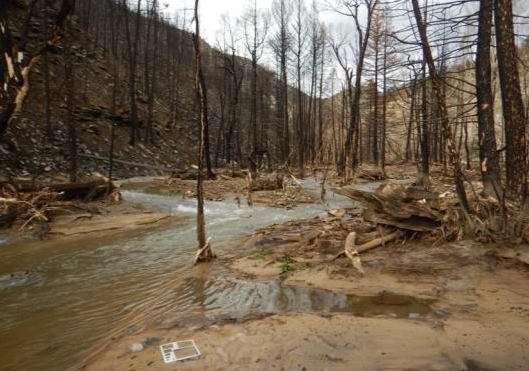 Assessing Vulnerability of Reservoirs to Post-wildfire Sedimentation in the Wasatch Front