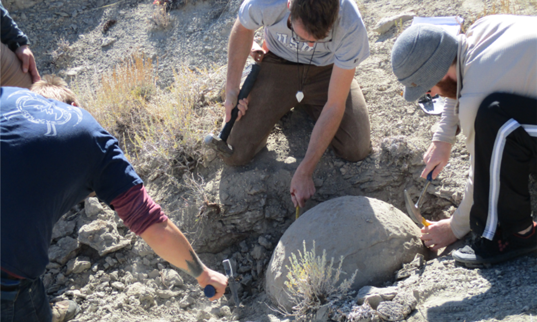 collecting concretion