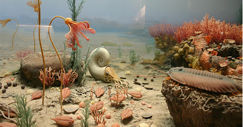 Paleozoic sea life