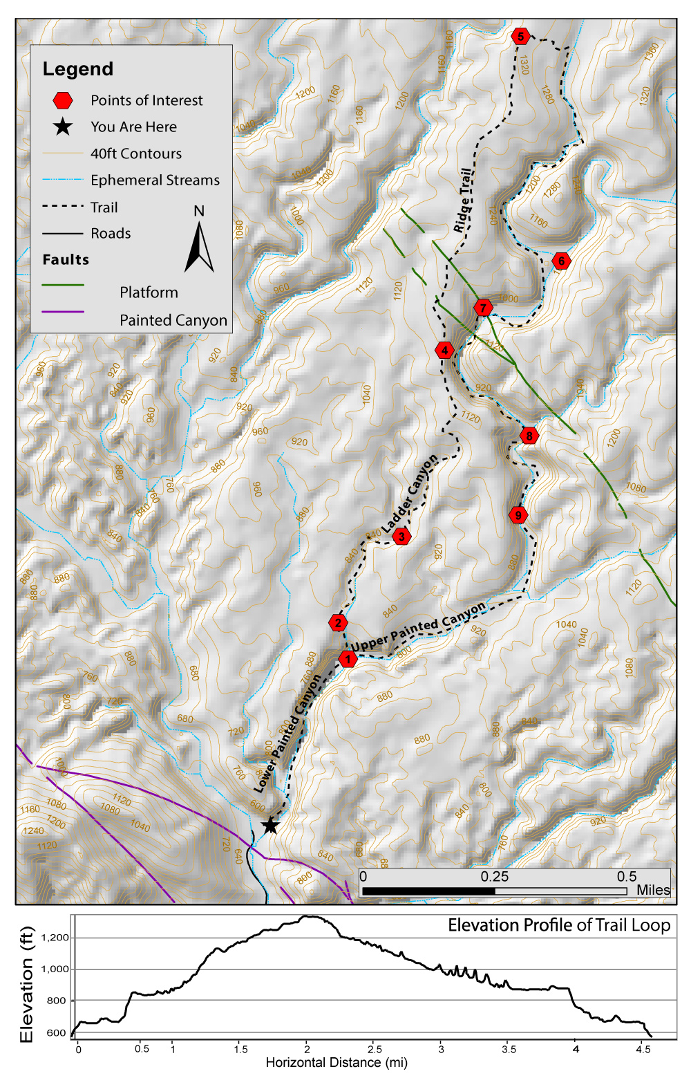 Trial Map