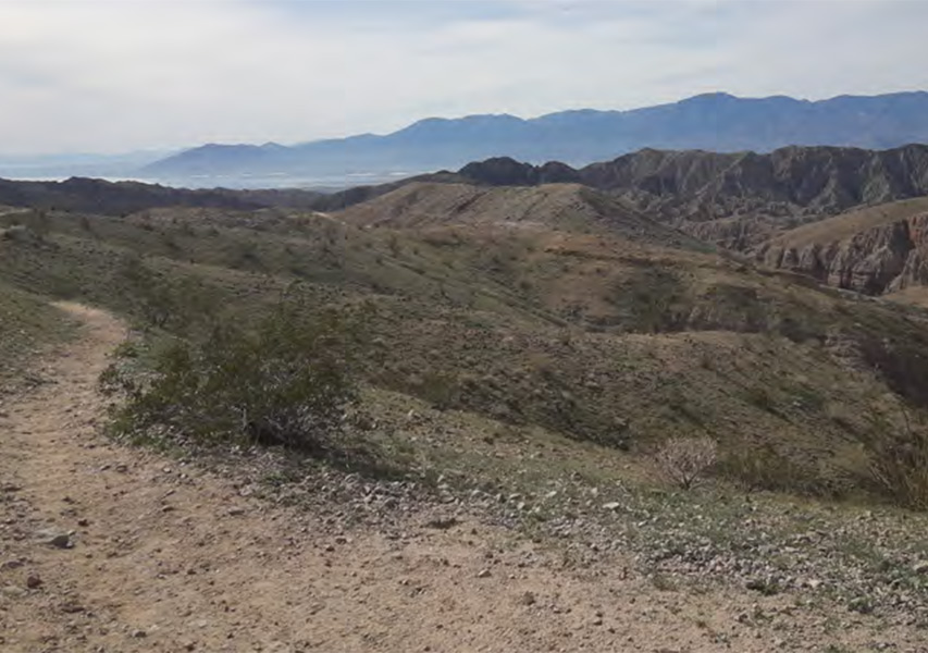 Salton Sea