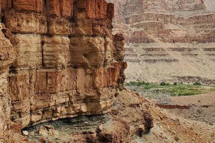 Fossil discovery: Hundreds of “worm teeth” and other soft-bodied fossils in Grand Canyon provide insight into the explosion of animal life