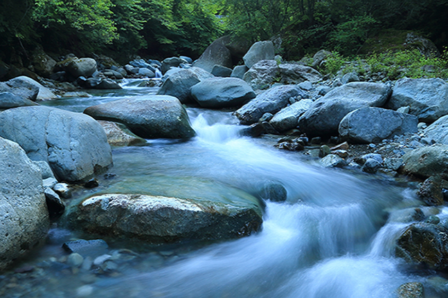 Management and Restoration of Aquatic Ecosystems (BS)