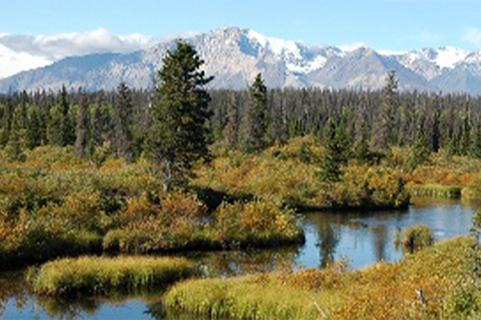 Watershed Science (Minor)