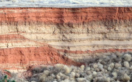 Sandy Deposits at Vertical Exposures