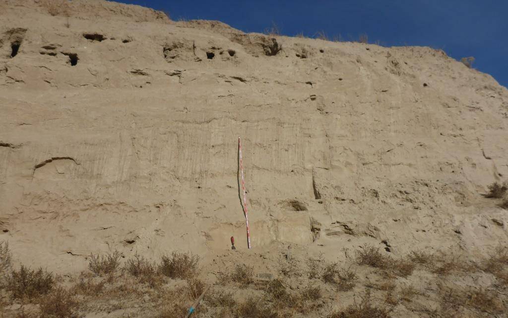 Sand dune