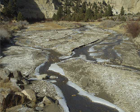 Braids of Rivers